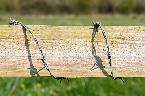 Barbed wire isolated on a blurred background