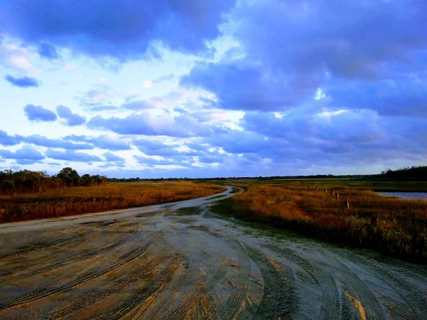 Assateague island beach, MD road with sky Dirt and sand road with blue cloudy sky and orangeish grasses eastern shore sand sand dune beach stock pictures, royalty-free photos & images