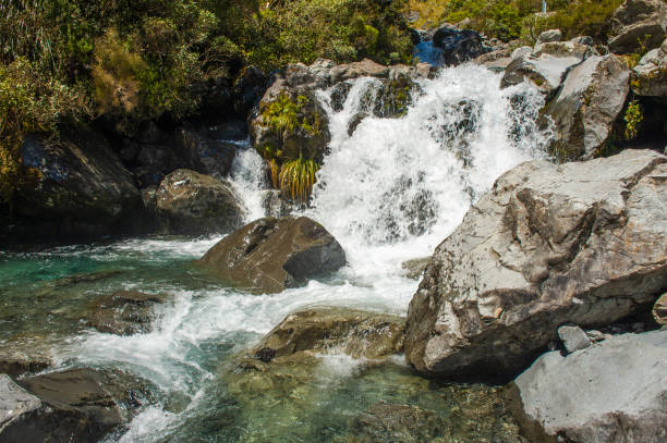 istock Creek in New Zealand 1216114336