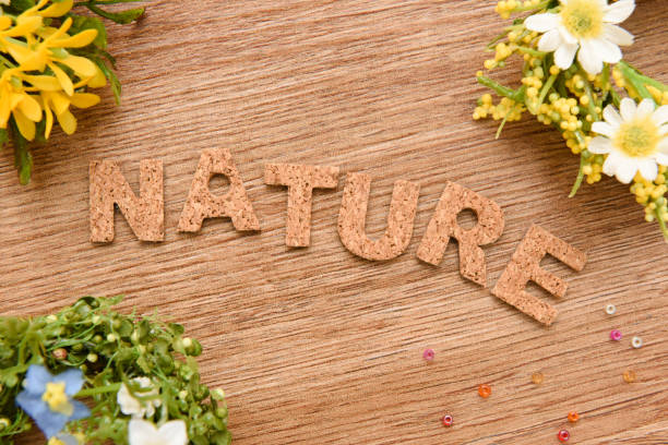 istock nature alphabet letter word text stamp 1216115267