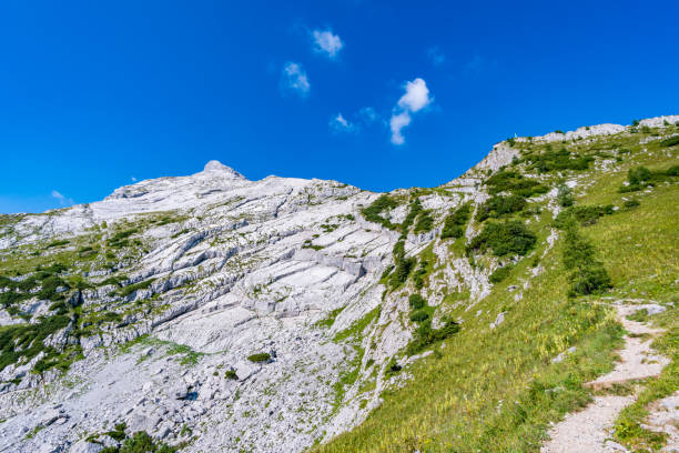 istock Mountain tour on the Watzmann 1216125189