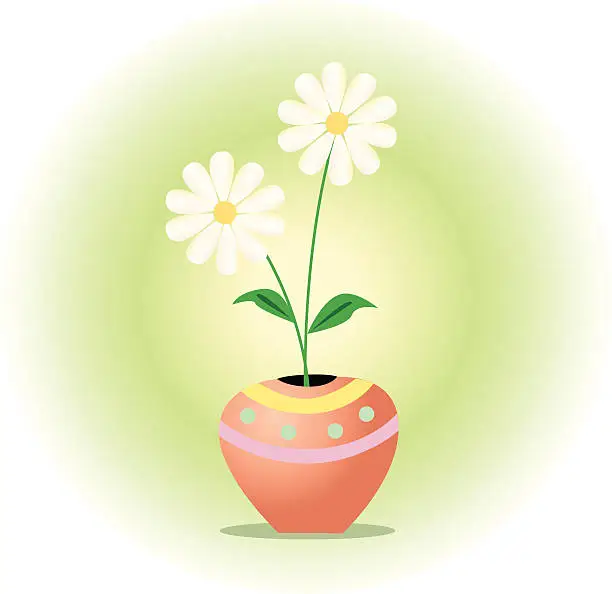 Vector illustration of Spring Daisy