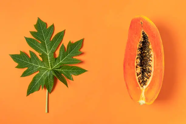 Ripe freshly cut papaya fruit with green papaya leaf on orange background, flat lay, copy space