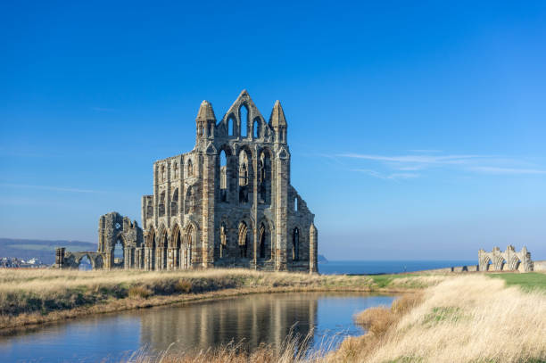 istock View of Whitby Abbey 1216133602