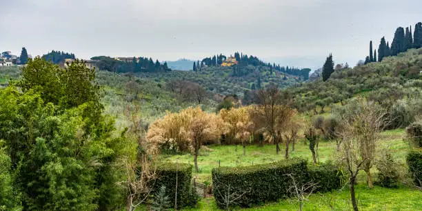 Photo of Beautiful vibrant scenery out of town Florence, Tuscany, Italy