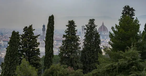 Photo of Landmark buildings Duomo cathedral seen in between the trees