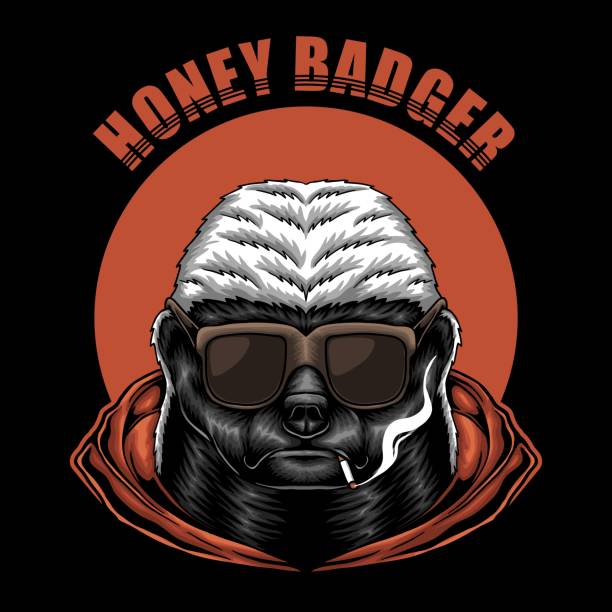 Honey badger eyeglasses vector illustration Honey badger eyeglasses vector illustration for your company or brand badger stock illustrations