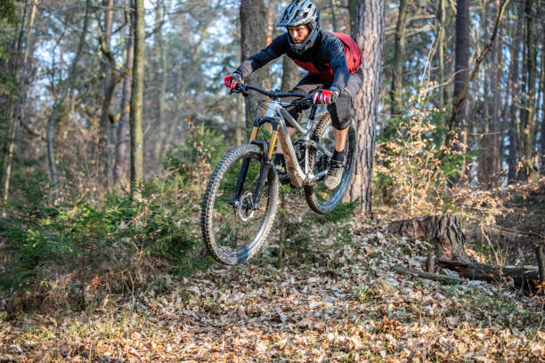 istock Mountain biker in the forest 1216138102