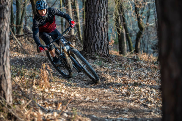 istock Mountain biker in the forest 1216138108