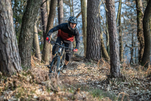 istock Mountain biker in the forest 1216138117