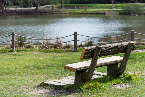 Log bench by the pond in Ataturk Arboretum in Istanbul-Turkey.