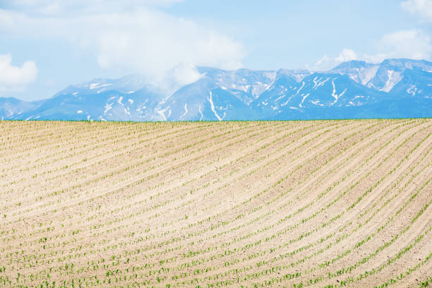 istock Spring field and mountains with remaining snow 1216146329