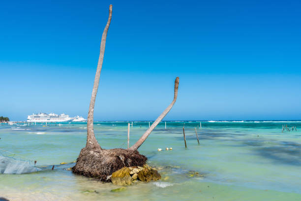 istock Mexican coastline at Costa Maya 1216151291