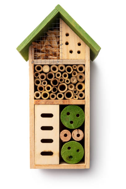 Insect Hotel Isolated on White Background. More gardening photos can be found in my portfolio! Please have a look.