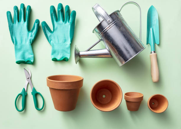 Gardening: Gardening Equipment Flat Lay Still Life Gardening Equipment Flat Lay Still Life. More gardening photos can be found in my portfolio! Please have a look. pruning gardening photos stock pictures, royalty-free photos & images