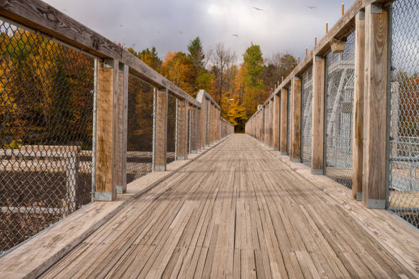 istock Pedestrian wooden footbridge 1216159719