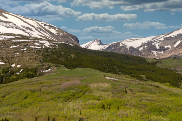 istock Green grassy hills snow covered mountains 1216160052