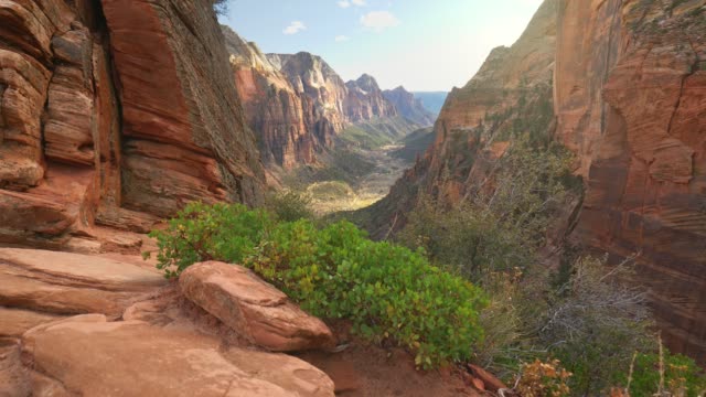 Camera moves over cliff overlooking the canyon. Zion National Park, Utah, USA