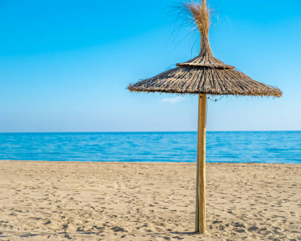 istock Straw umbrella on sea beach, blue sky 1216169187