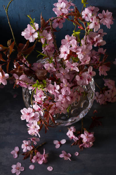 istock Spring fruit flowers in vase. Flower bouquet 1216169813