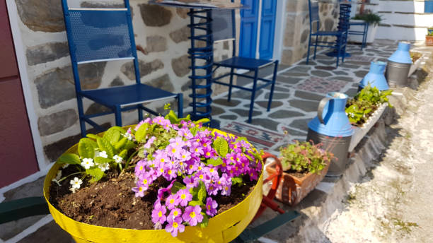 istock spring season flowers backyard greek island 1216170224