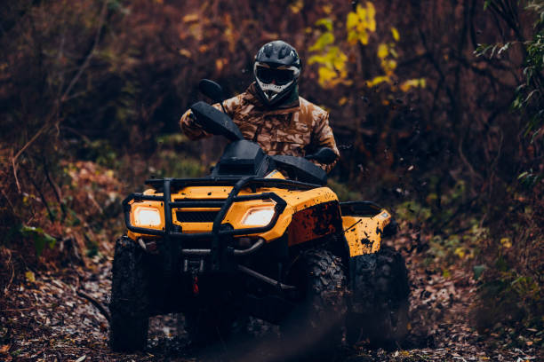 istock Driving in nature is therapy 1216171492