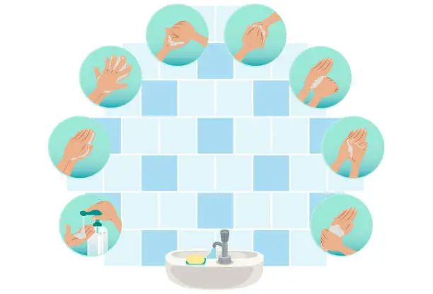 Vector illustration of How to wash your hands properly