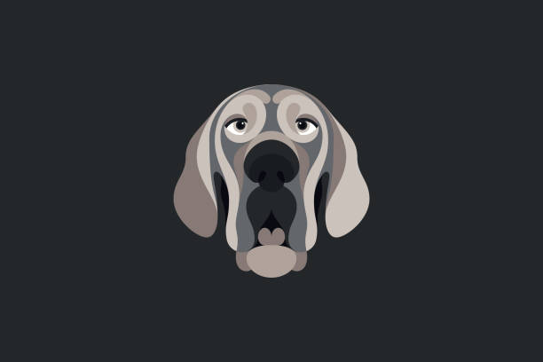 Blood Hound vector illustration colored Colored vector illustration in portrait mode about a Blood Hound dog bloodhound stock illustrations