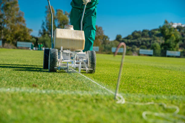 istock drawn white lines on the football field with white paint on the grass using a special machine before a game 1216175470
