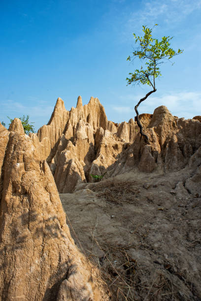 istock Orange earth sticks and small trees against the blue sky 1216175598