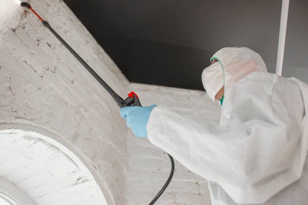 Coronavirus Pandemic. A disinfector in a protective suit and mask sprays disinfectants in the house or office Coronavirus Pandemic. A disinfector in a protective suit and mask sprays disinfectants in house or office. Protection agsinst COVID-19 disease. Prevention of spreding pneumonia virus with surfaces. mold remediation stock pictures, royalty-free photos & images