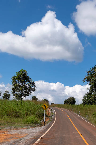 istock Roads and pine trees in Thung Salaeng Luang forest 1216176601