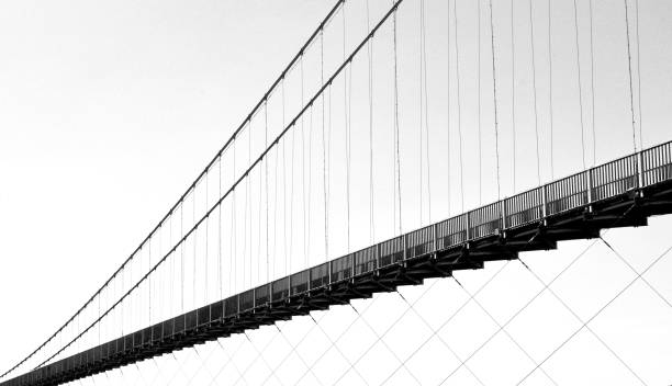 istock Suspension Pedestrian Bridge 1216176890