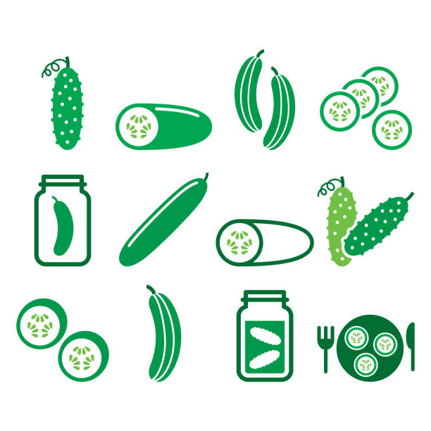 gurke, eingelegt, gurkenscheiben - gesunde lebensmittel vektor icons set, grüne gemüse piktogramme - pickled stock-grafiken, -clipart, -cartoons und -symbole
