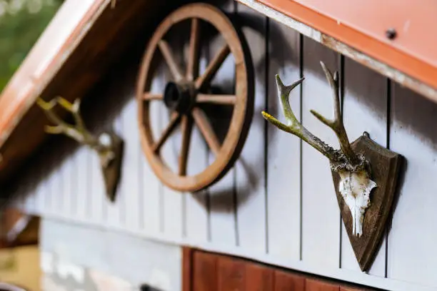 Photo of Wooden shed or hut with antlers and cart wheel decoration over doors