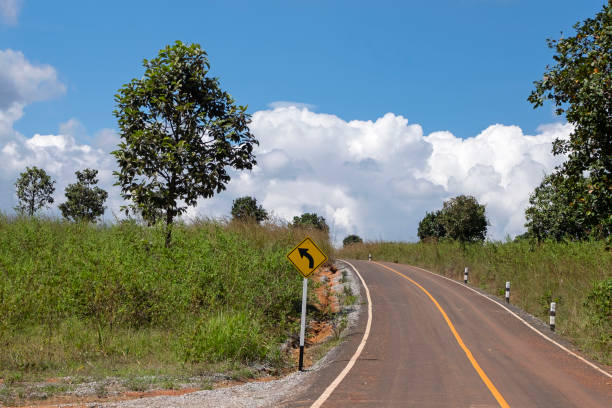 istock Roads and pine trees in Thung Salaeng Luang forest 1216178642