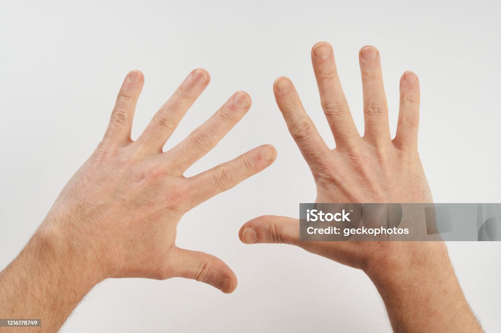 Man Clean Hand Mans Clean Hands Isolated On White Background With Copy Space Stock ...