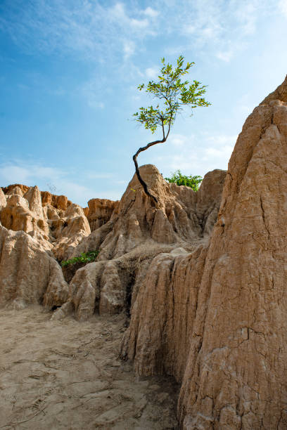 istock Orange earth sticks and small trees against the blue sky 1216180100