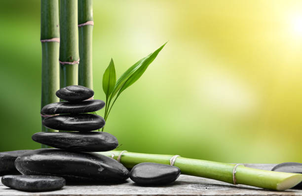 Black zen stones and bamboo sprout Black zen stones and bamboo sprout nature russia environmental conservation mineral stock pictures, royalty-free photos & images