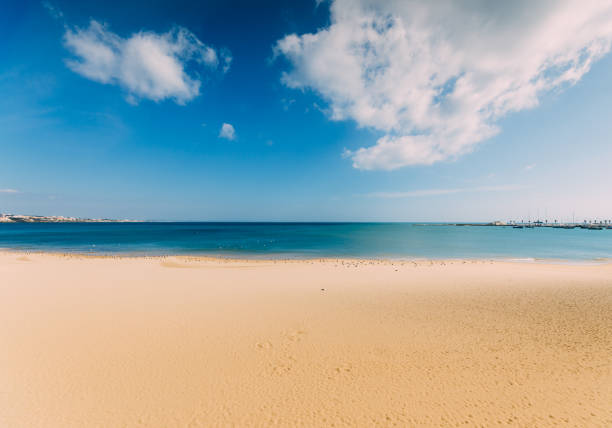 istock Empty sea and beach background with copy space - paradise bliss theme 1216188453