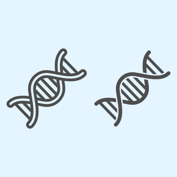 dna-kettenlinie und volumenkörper-symbol. genetische und evolution symbol umriss stil piktogramm auf weißem hintergrund. covid-19 und medical zeichen für mobiles konzept und webdesign. vektorgrafiken. - dna stock-grafiken, -clipart, -cartoons und -symbole