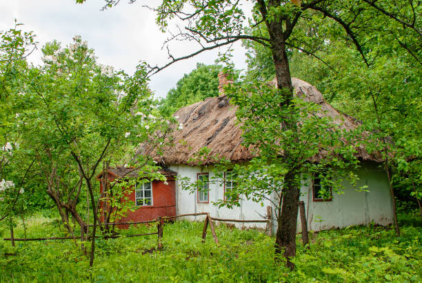 istock rural house with thatched roof in summer 1216189055