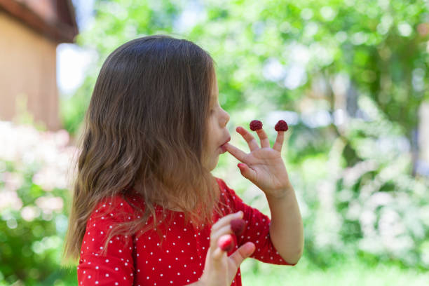 Happy child with raspberry on her fingers outdoors in summer
