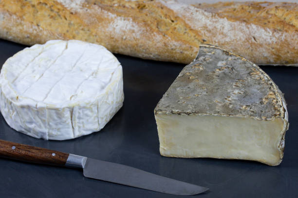 istock camembert and tomme de Savoie (French cheese) 1216190330