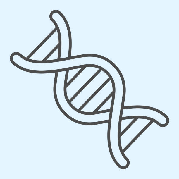 DNA chain thin line icon. Genetic medicine and evolution symbol outline style pictogram on white background. COVID-19 and Medical signs for mobile concept and web design. Vector graphics. DNA chain thin line icon. Genetic medicine and evolution symbol outline style pictogram on white background. COVID-19 and Medical signs for mobile concept and web design. Vector graphics digital health logo stock illustrations
