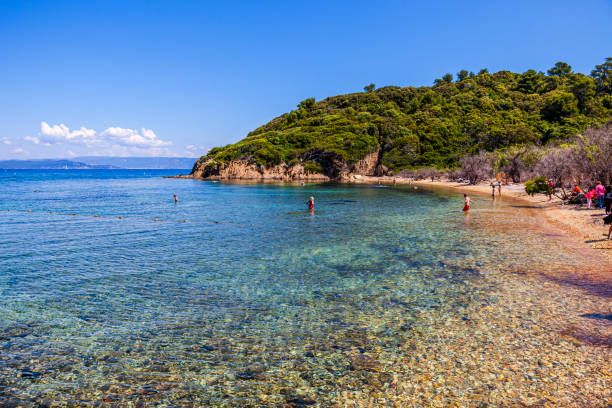 francja, port-cros - cros zdjęcia i obrazy z banku zdjęć