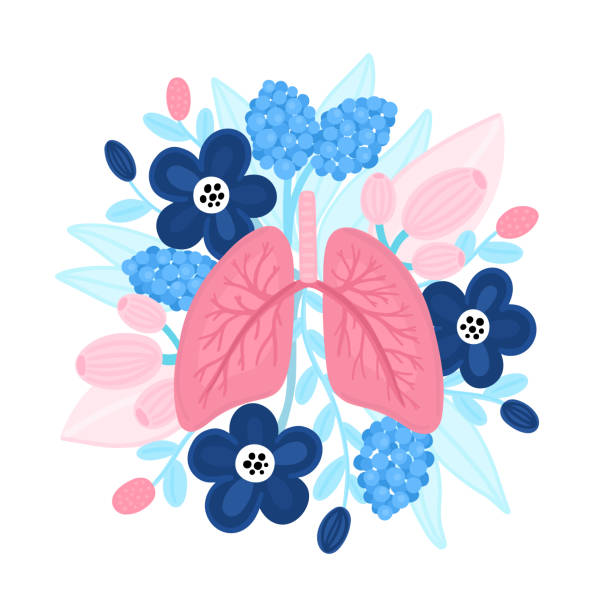 wektor zdrowe płuca na kwiatach. ilustracja do etykiety, reklamy medycyny płucnej, plakatu lub banera - flower anatomy stock illustrations