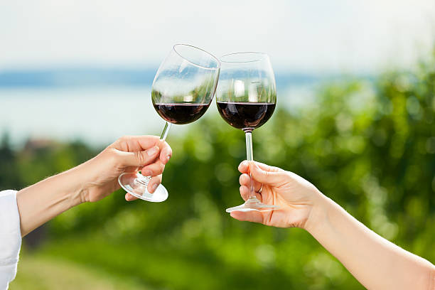 istock Couple drinking wine at lake in summer 121619486