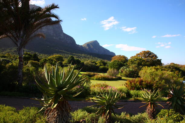 Kirstenbosch Botanic Gardens in Cape Town stock photo