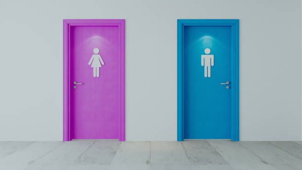 istock Pink and blue restroom wooden doors with white wall and sign 3D rendering 1216197465